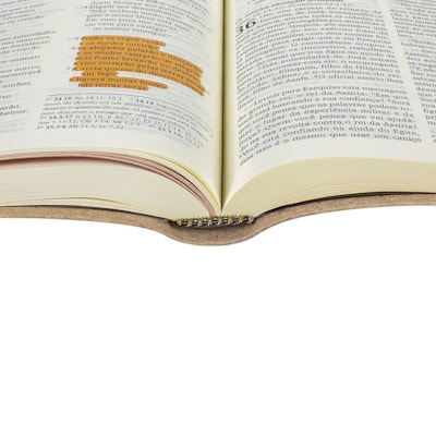 image_016702e3-8024-48a2-a7ff-41b38e7d59d0