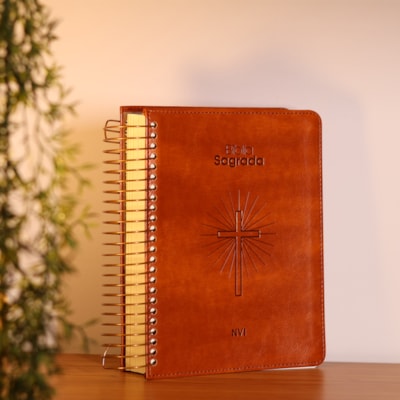 image_2afdf4c3-4422-4839-9627-3d2d9c3c5146