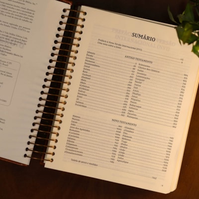 image_58cc2444-9c43-43c1-ab8a-a293147721c2