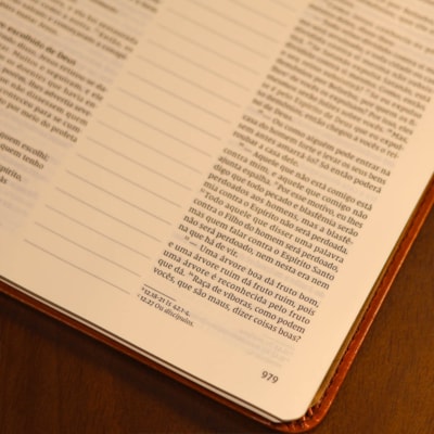 image_91968f73-30c2-4cbb-a647-1f881259f9f5