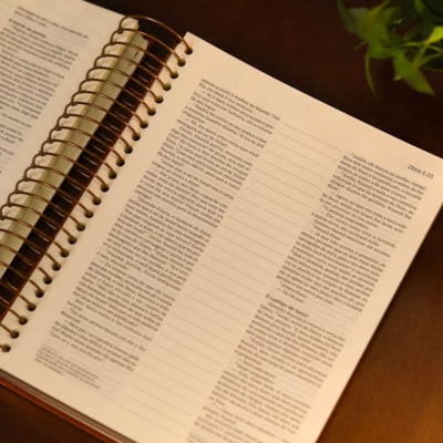 image_95a08f48-7d85-458c-bb2b-2bc065b76a1a