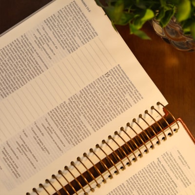 image_9f340384-8eb3-4194-922e-933bcdade58f