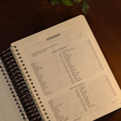 image_26409c03-81b1-4c45-aa26-e483e529f1c3