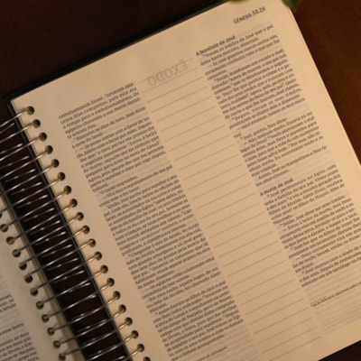 image_a97f85a6-566a-4949-9261-30224ce09f8b