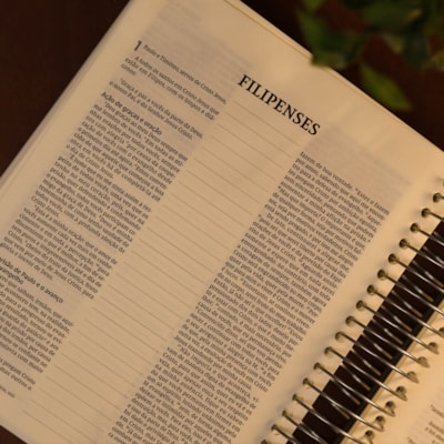 image_b503cb23-9e8e-4fba-8a0e-4e9b8ac57219