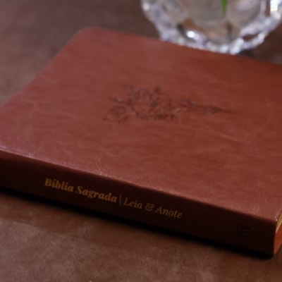 image_d7a940ed-5dfe-4638-b7d2-f153cb26ae44