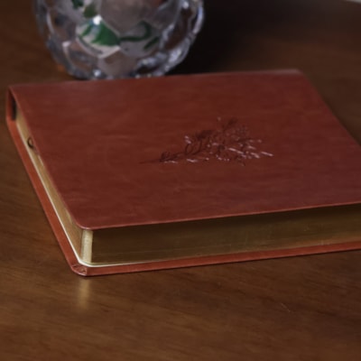 image_2be7afc9-2062-4088-85fd-b2a92d264526