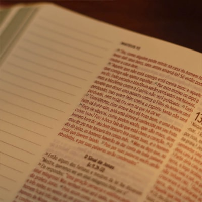 image_335be76e-7e92-4a93-82bd-c85a007fc164