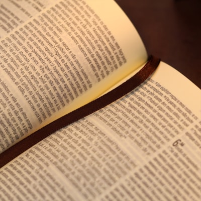 image_a7475bcc-cf14-49e9-b891-2cd9c30818f4