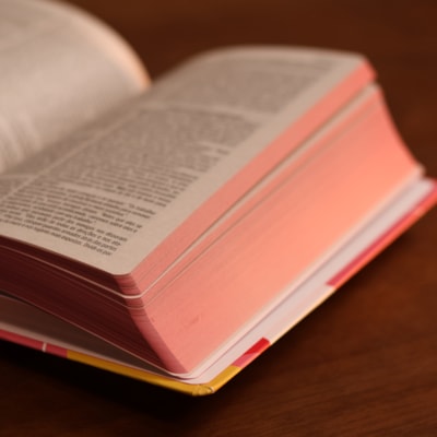 image_f59b21a4-49cd-41a1-a653-ebd8aabb433e