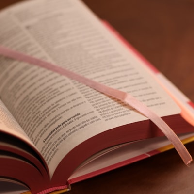 image_fa8c699d-3a6e-4d5e-9fd3-084d979b1518