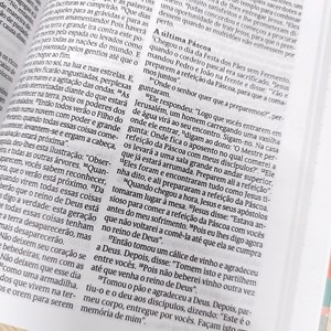 Bíblia Sagrada Estatutos | NVT | Letra Normal | Capa Dura