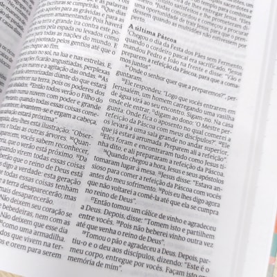 image_187f5882-bc1a-4542-98f2-ea62b9554997