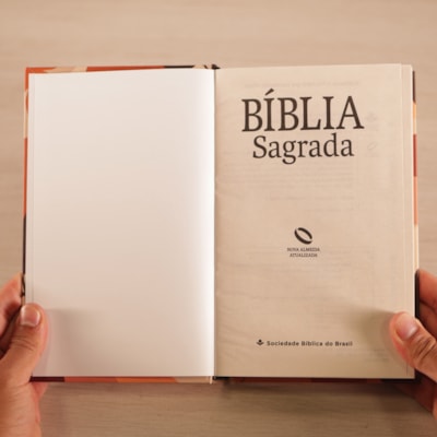 image_2daaa23d-5067-4f6c-8306-4f6585861b61