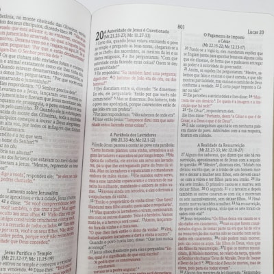 image_49b0497f-7889-4ea4-8bba-35632a0f2967