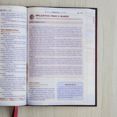 image_afe059ee-993a-4b32-ae86-12755d77126b