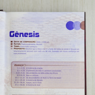 image_02a8c456-6afb-40f7-842a-12efe26e9bf7