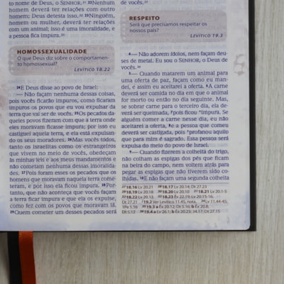 image_c7a28f0c-45a7-474d-93ae-0168e228388a