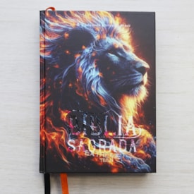 Segunda imagem do produto Bíblia Sagrada Extreme Teen | Leão | NTLH | Capa Dura