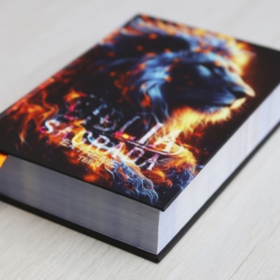 image_4c94aa17-c3a9-4cd0-bc72-680ee8462402