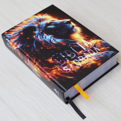 image_70d17bf6-6c1b-4a69-acb7-8a222dcf2a16