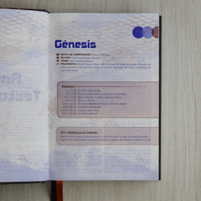 image_7077a4dd-57a8-46c8-bab5-6ac17333af53