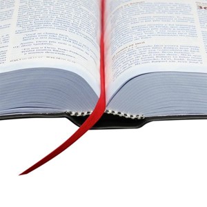 Bíblia Sagrada Extreme Teen | NTLH Letra Normal | Capa Preta