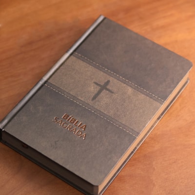 image_c079a319-4291-4fb5-a27f-88909543c04c