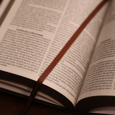 image_5b28fb40-9198-4977-8946-2d96493f9445