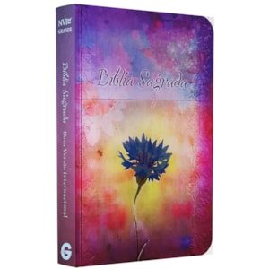 Bíblia Sagrada Fala Comigo Jesus | NVI | Letra Gigante | Nova Ortografia Capa Dura