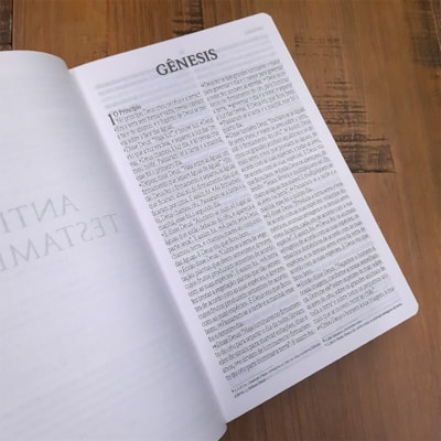 image_7d238c9e-1853-46df-9672-d46ca266f6b6