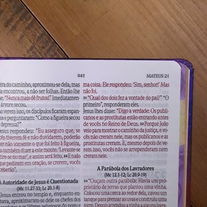 Bíblia Sagrada Fala Comigo Jesus | NVI | Letra Gigante | Nova Ortografia Capa Dura