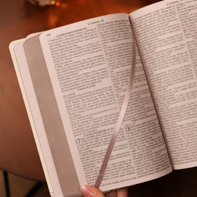 image_791d5cbc-cbe3-458e-9dfa-b6048584b8fe