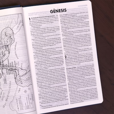 image_b99142d9-3ca0-40a4-9a75-9a293c9d2ac0