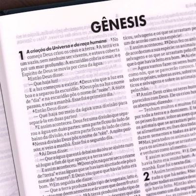 image_0453ff3d-9ff3-4467-b531-617b59cef530