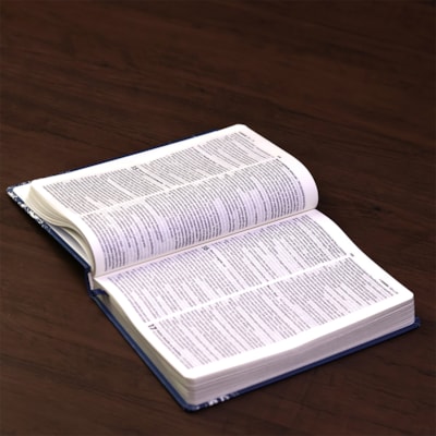 image_cc761542-d21c-4bd7-9731-37e85f360951