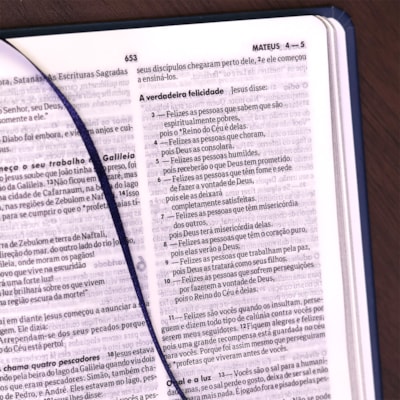 image_e647b203-4f7c-4434-87ad-46dbe028b136