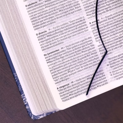 image_54fe3ab6-147e-4463-af96-0cc26c3e7b89