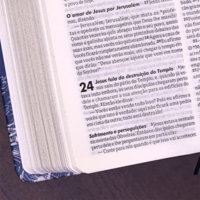 image_b309a666-9328-41fb-bd6a-f72463f50e74