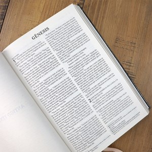 Bíblia Sagrada Farol | NVI | Letra Normal | Capa Dura