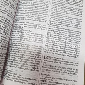 Bíblia Sagrada Felizes são aqueles | NVI | Letra Normal | Capa Dura
