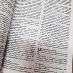 Bíblia Sagrada Feminina Borboleta | NVI | Letra Normal | Capa Dura