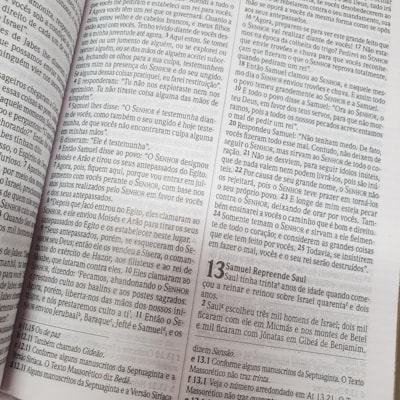 image_f4072026-dbfc-479d-9353-db960c2c6362