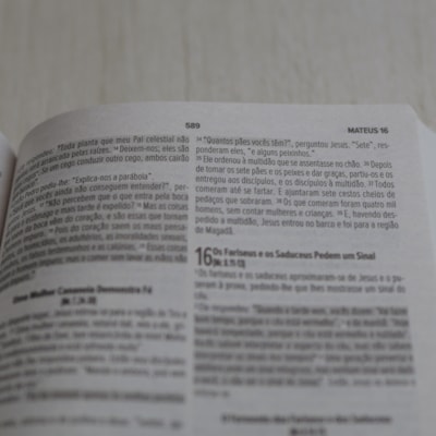 image_b0a267cf-1bf5-4073-9bf9-782eb6fe1606