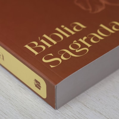 image_57a599c0-0720-4ba9-a906-8a9dce822037