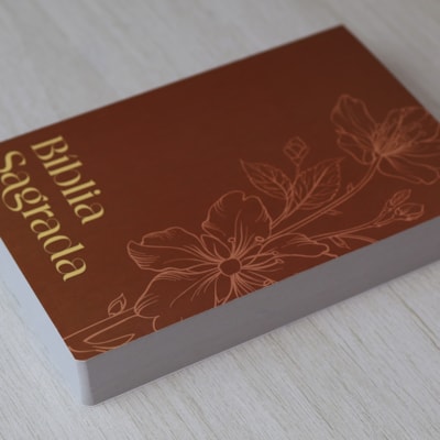 image_f1a208a9-a380-4181-a242-bdcf3bd3515b