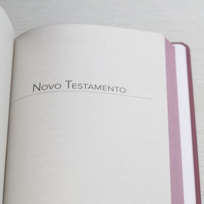 image_c9037d15-39fe-4581-90d7-1af4b51b3166