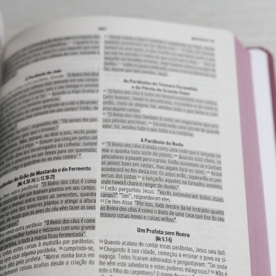 image_32e0239a-66ee-47e5-8fd7-456e6bda7826