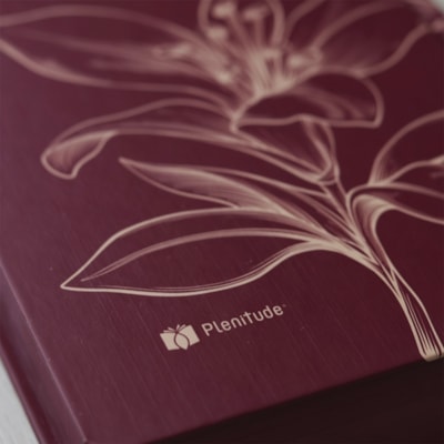 image_36acfe0b-c7cb-42ba-9ea1-e82b5d25c00c