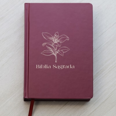 Segunda imagem do produto Bíblia Sagrada Feminina | NVI | Letra Normal | Capa Dura